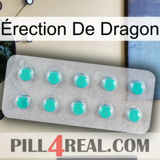 Érection De Dragon 28